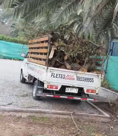 Imagen servicio